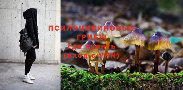 марки lsd Алексеевка