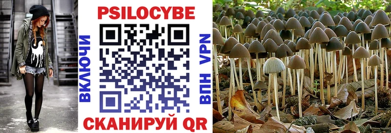 купить наркотик  Жуковский  Псилоцибиновые грибы MAGIC MUSHROOMS 