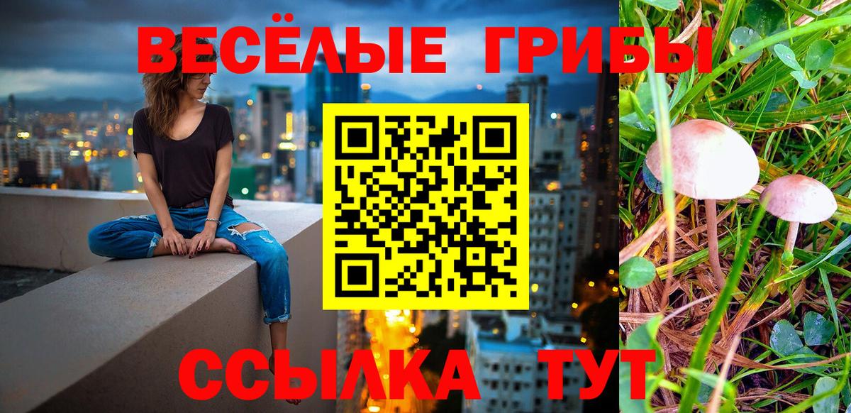 Жуковский  Псилоцибиновые грибы Magic Shrooms  Вход с VPN 