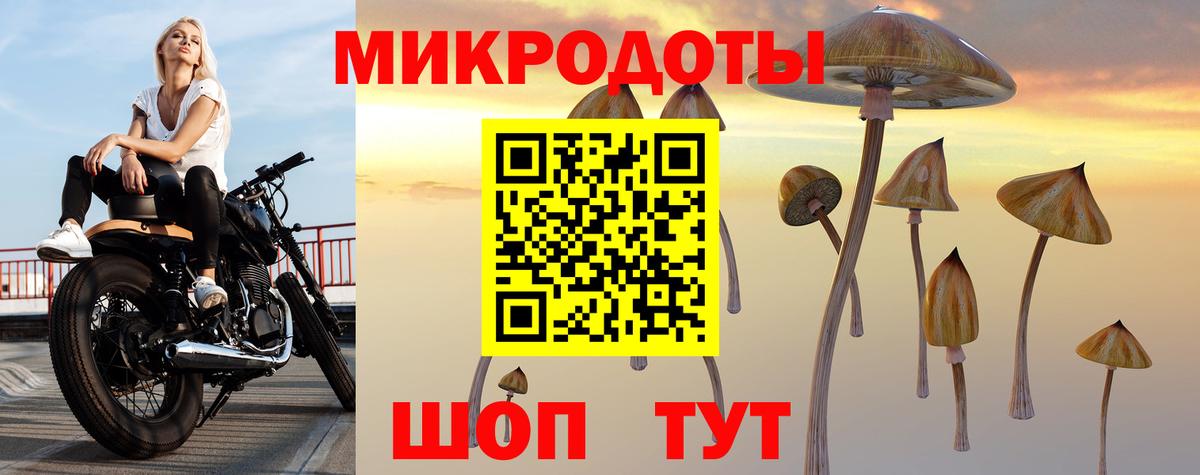 Псилоцибиновые грибы Psilocybine cubensis Жуковский